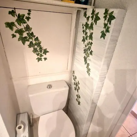 Paisible Belle Vue Et Proche De La Apartman *